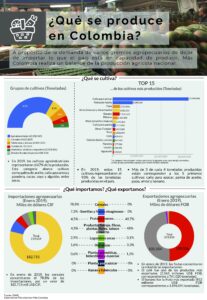 Agropecuario. Que se produce 12. Infografia. HG. Sin Fecha page 0001