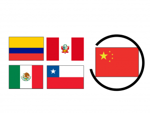 Imagen macrorrueda e1630101162494