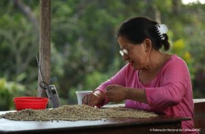 Mujeres cafeteras