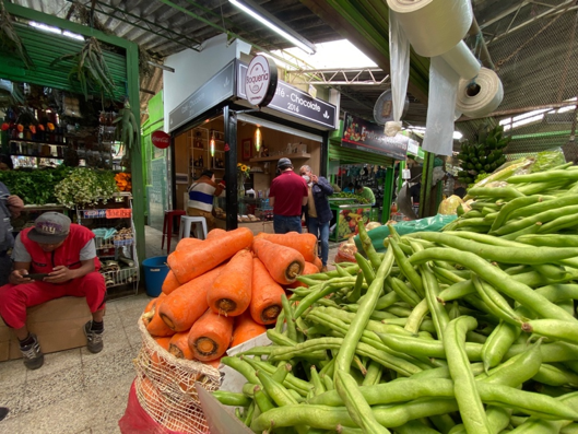 Plaza, Zanahoria, Habichuelas