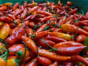 Paloquemao, Ají, Plaza de mercado, Más Colombia