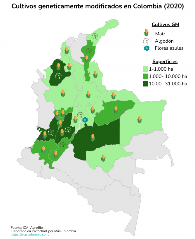 Cultivos geneticamente modificados en Colombia. 2020