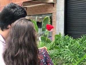 Día del amor y la amistad, Flores, Rosas