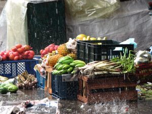 Productos agricolas e1631218414275