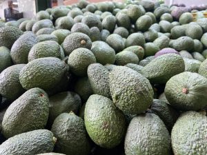 Aguacate hass