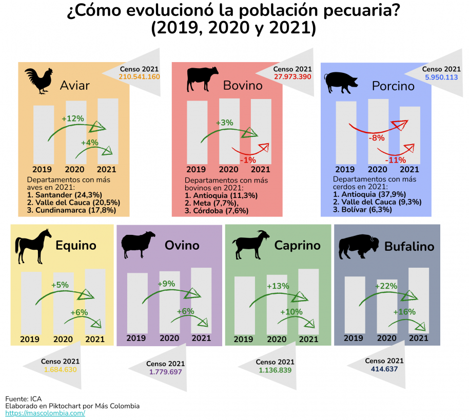 Las aves representan el 84,4% del censo pecuario en Colombia 4 Censo pecuario por especies