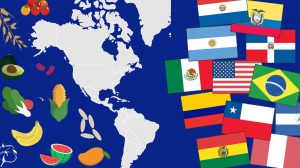 Comercio internacional, aranceles, Comercio, América