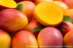 Mango, Fruta, Frutales
