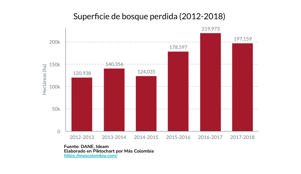 “Casi un millón de hectáreas de bosque se perdieron entre 2012 y 2018”: DANE 2 Superficie de bosque perdida