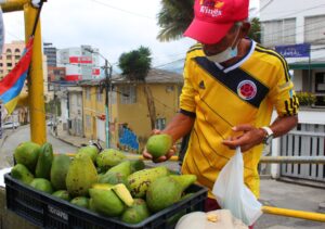 Informalidad, Ventas ambulantes, Vendedor ambulante, Comercio