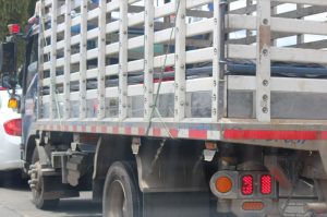 Transporte de carga, Camiones,