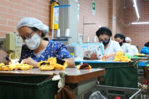 Mujeres, Textiles, Confecciones