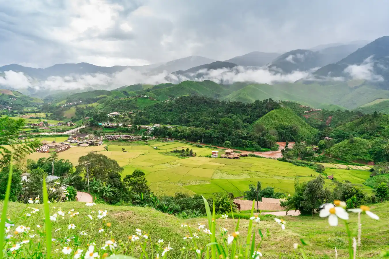 7 desafíos del campo colombiano