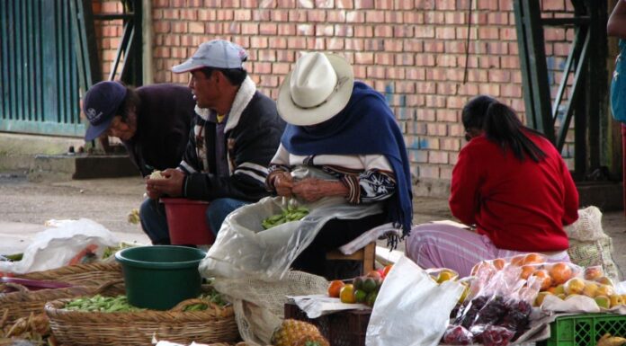 Campesinos, PLaza de mercado, Vegetales, Productores agropecuarios