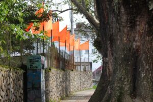 Construccion de vivienda