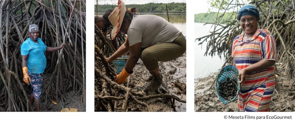 “Río de Magüí, río de Sanquianga, qué sabroso estaba —mi negra— el caldo de piangua” 3 WhatsApp Image 2022 02 23 at 5.44.20 PM 2