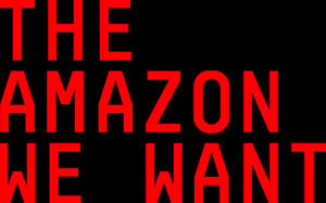 The Amazon We Want