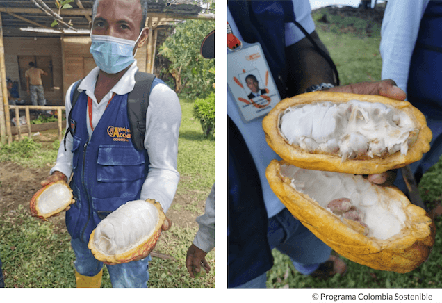 Captura de pantalla 2022 04 20 a las 4.04.55 p. m.