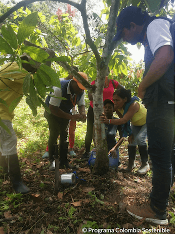 Captura de pantalla 2022 04 20 a las 4.07.00 p. m. 1