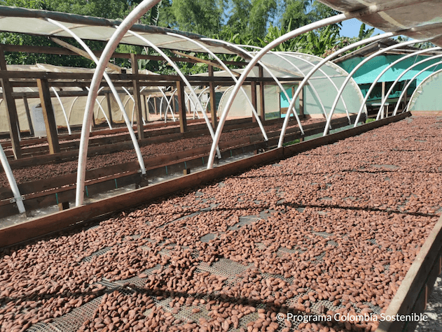 Captura de pantalla 2022 04 20 a las 4.07.33 p. m.