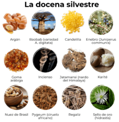 La docena silvestre 2 1