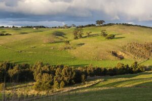 colinas, tierras