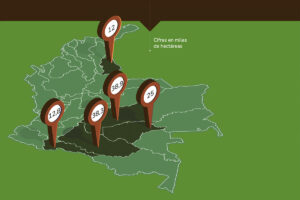 deforestacion, infografia
