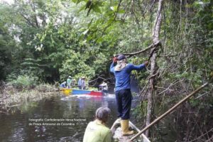 pescadores artesanales reforestando