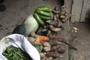 yuca en Colombia, Más Colombia