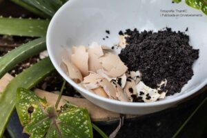 Bioinsumos, Producción de bioinsumos, Más Colombia