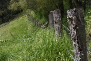cerca, lotes de tierra