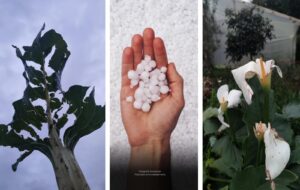 Granizo, Granizada, Más Colombia