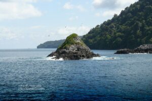 Islote El Horno, Gorgona, isla prisión, Isla Ciencia de Colombia, Más Colombia