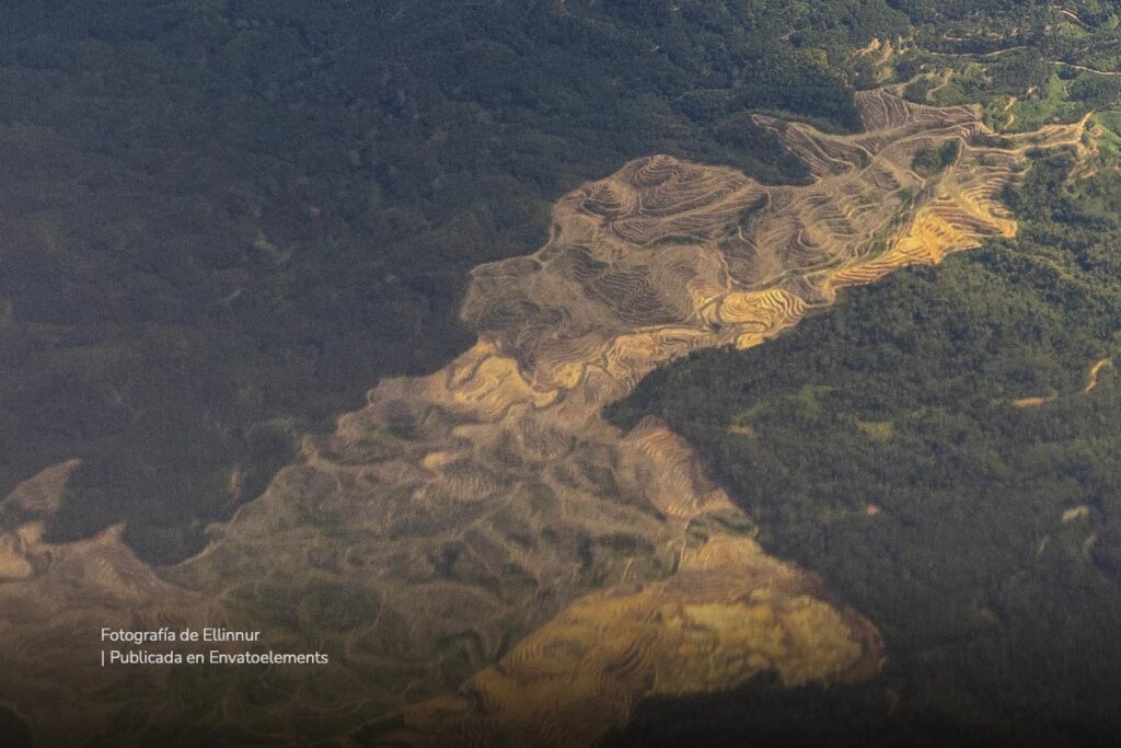 Biodiversidad colombiana: en estas categorías logra ganar podio internacional 4 deforestacion biodiversidad colombia