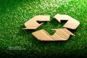 economía circular, reciclaje, reciclar, políticas ambientales, Más Colombia