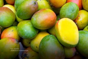 mango, mango colombiano, Más Colombia