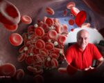 sangre, linfocitos, glóbulos rojos, globulos blancos, Guillermo Guevara Pardo, Más Colombia