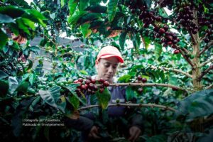 mujeres cafeteras, caficultura, mujeres campesinas, Más Colombia
