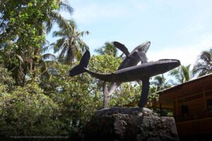 Escultura ballenas parque Isla Gorgona, isla Gogona Colombia, Más Colombia