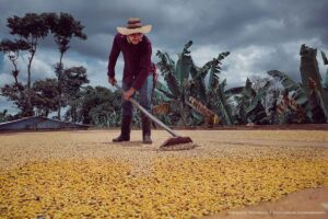 caficultor colombiano, caficultor, finca cafetera, Más Colombia