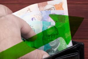dinero colombiano, billetera, pesos colombianos, aumento salarial, cien mil pesos, Más Colombia