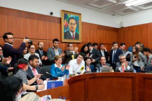 comisión séptima del Senado, reforma pensional, ministra del trabajo, congreso de la República, Más Colombia