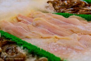 pescados, tilapia, pescado blanco, tilapia colombiana, Más Colombia