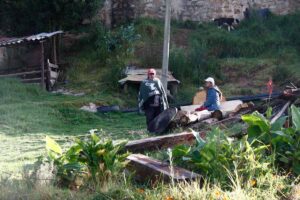 peasants, Colombian countryside, rural work, Colombian agrarian work, small farmers, Más Colombia, Colombian agricultural work, small farmers, Más Colombia