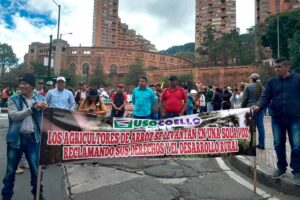 arroceros de Colombia, arroz en Colombia, campesinos colombianos, protesta de arroceros en Colombia, Más Colombia