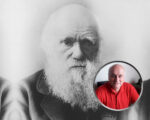 darwinismo, teoría de la evolución, Charles Darwin, evolución biológica, selección natural, Más Colombia