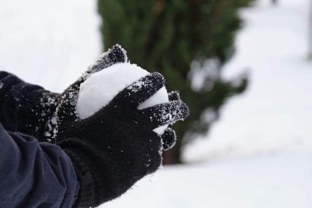 Snowball and Avalanche Method 2 snowball-and-avalanche-method