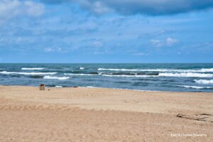caspian sea, sea level, Más Colombia