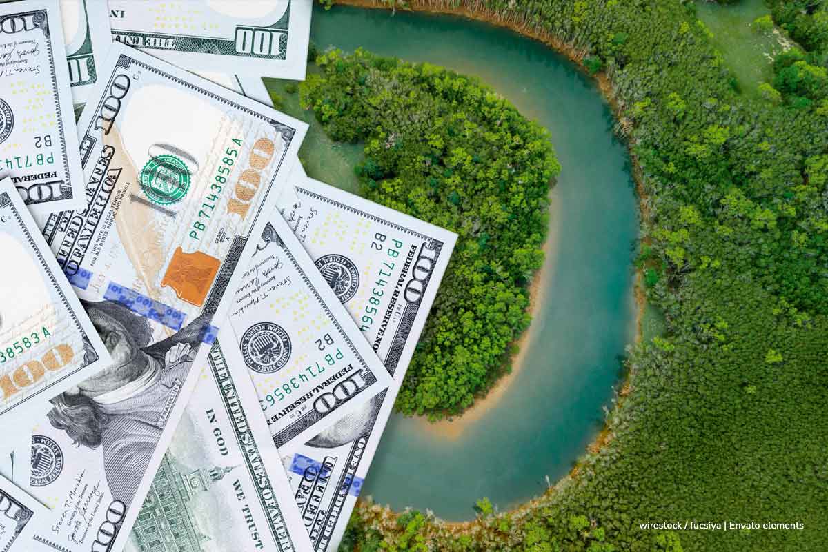 acción climática, amazonas, amazonía, selva, río, dólares, Más Colombia