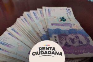 renta ciudadana 2024, billetes de cincuenta mil pesos, pesos colombianos, COP, Más Colombia